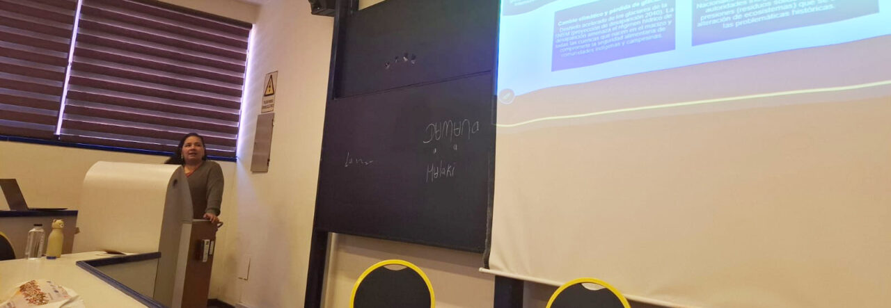 Estudiante del Magíster de Ciencias Sociales presenta investigación sobre territorios indígenas en congreso internacional en Bolivia